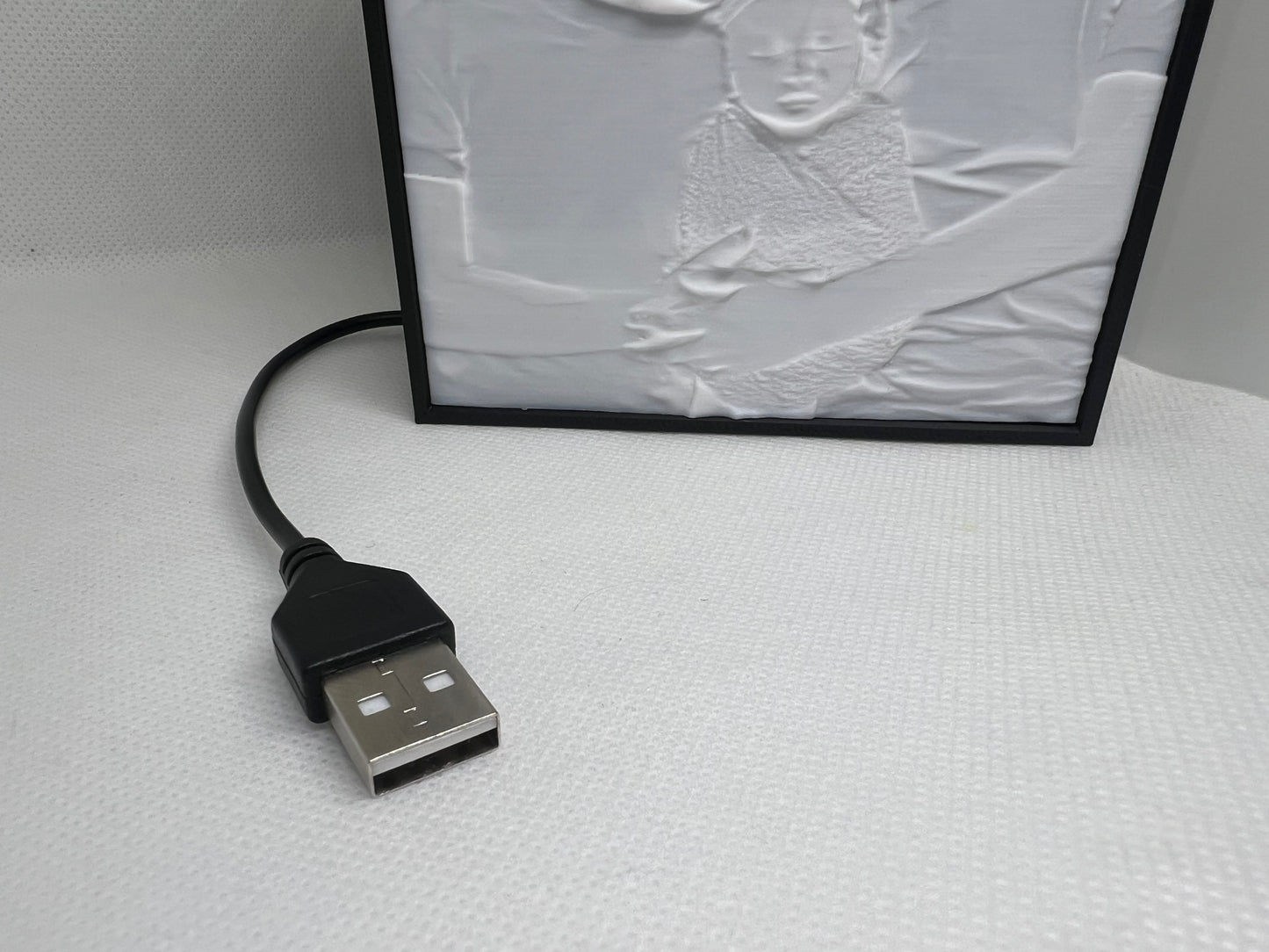 Portrait Lightbox
